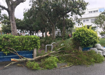 台風被害